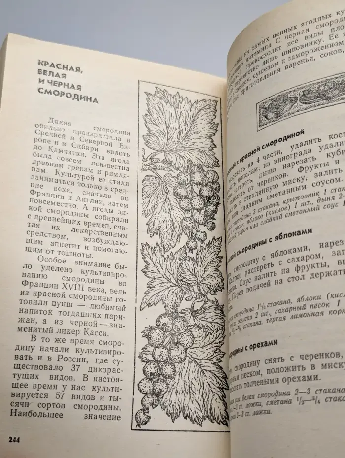 Все о фруктах