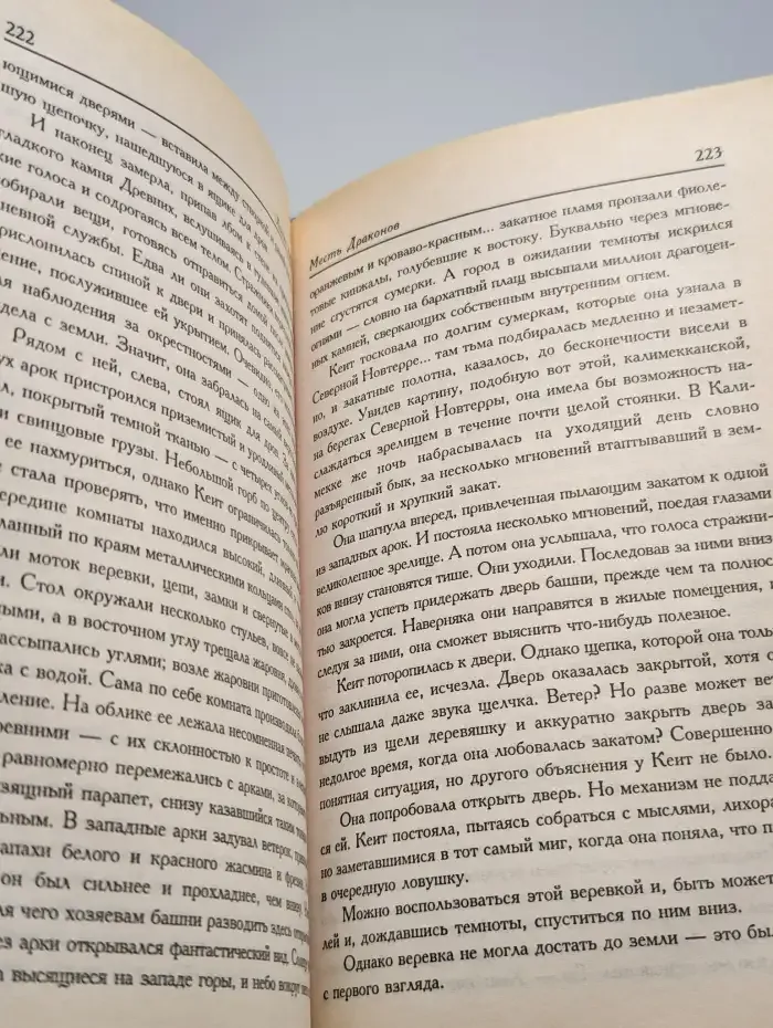 Месть драконов