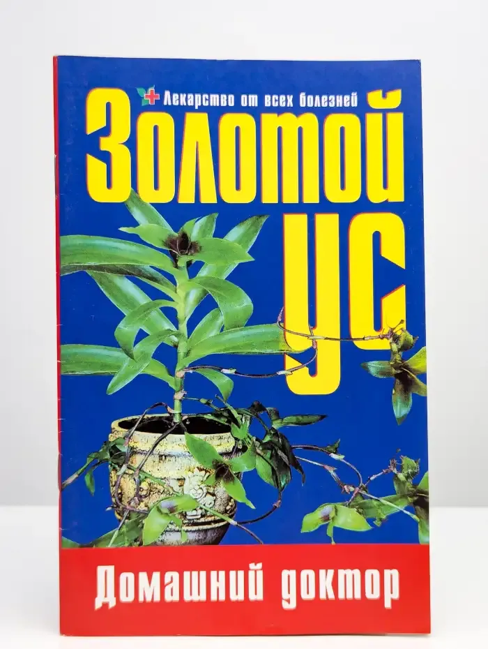 Золотой ус - домашний доктор