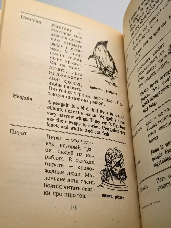 Англо-русский словарь школьника с иллюстрациями