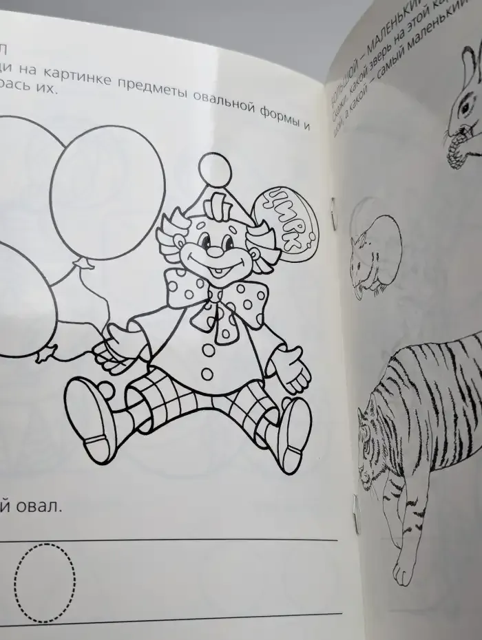 Форма и размер