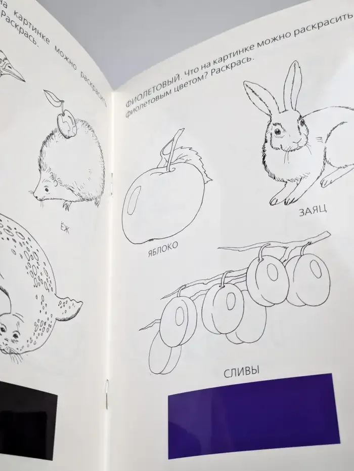 Цвет