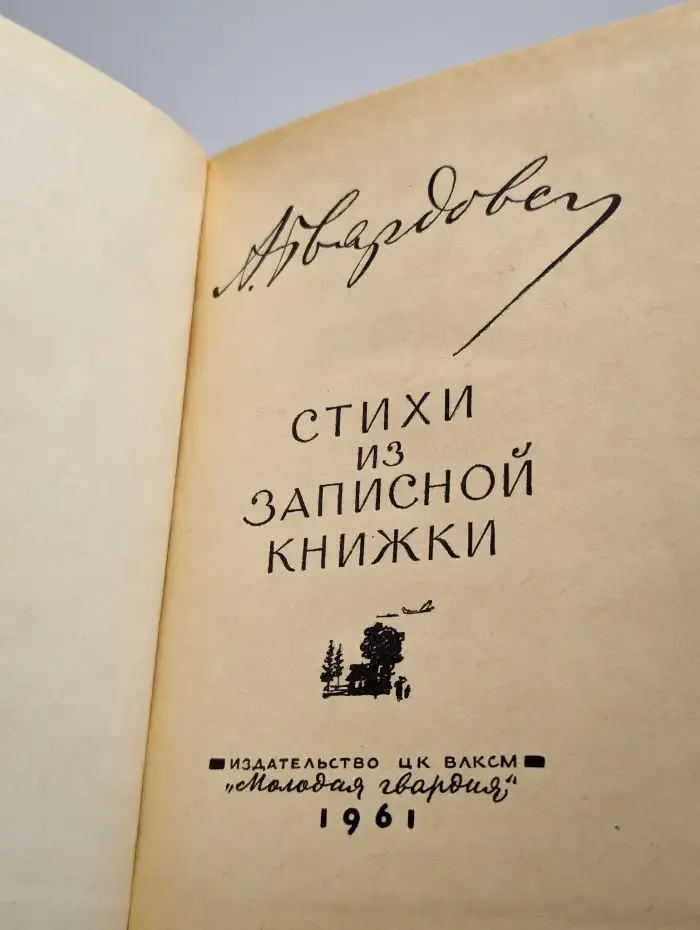 Стихи из записной книжки