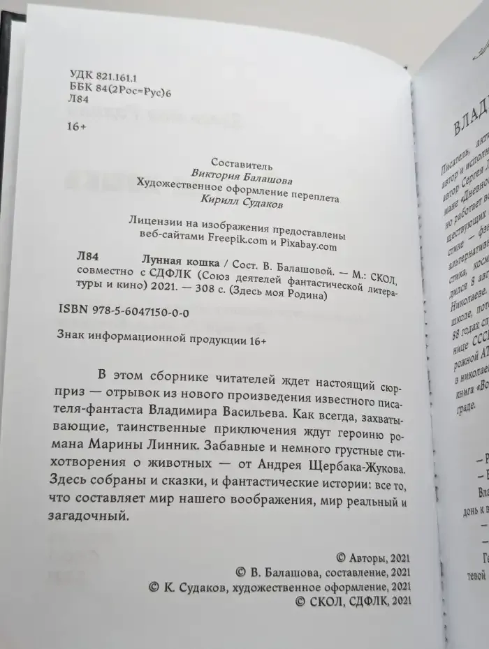 Лунная кошка
