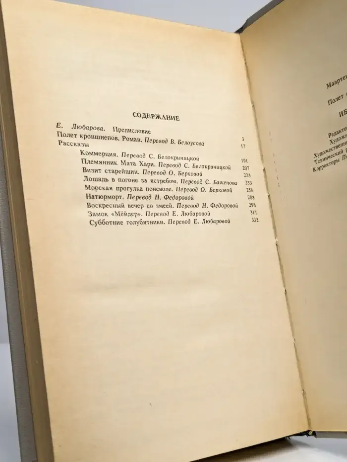 Полет кроншнепов