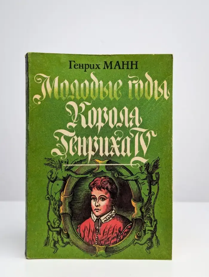 Молодые годы короля Генриха IV. Книга 1
