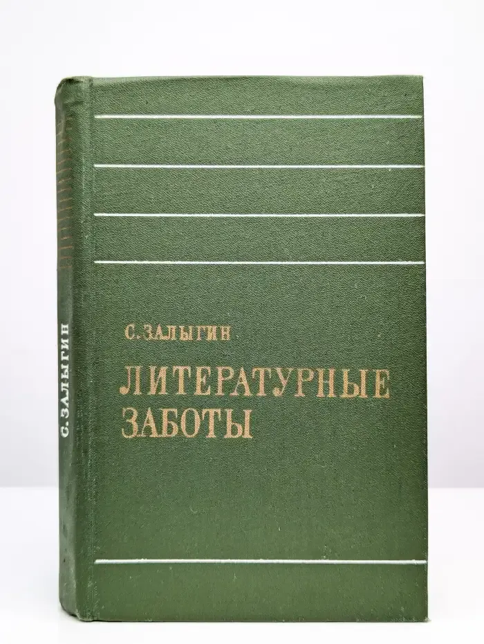 Литературные заботы