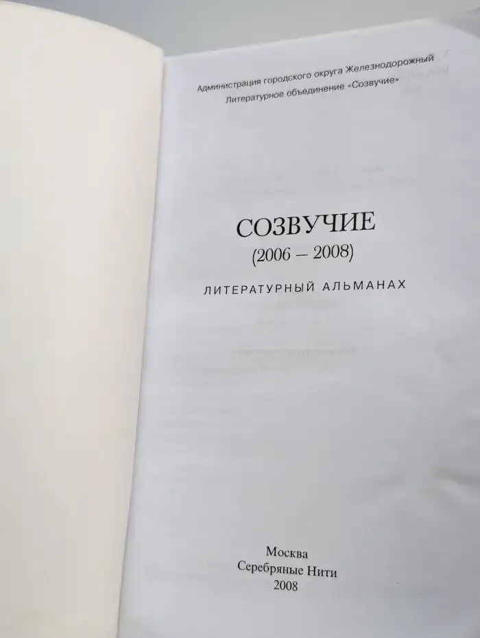 Созвучие (2006 - 2008)
