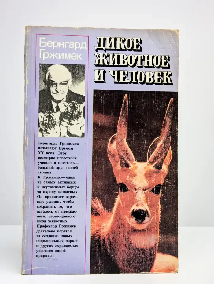 Дикое животное и человек