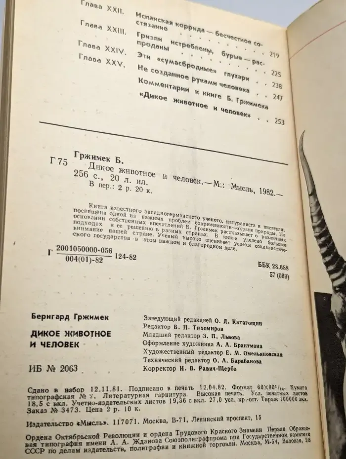Дикое животное и человек