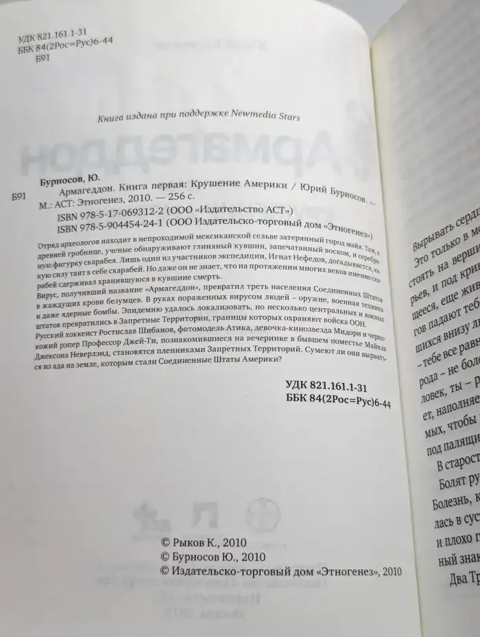 Армагеддон. Книга 1. Крушение Америки