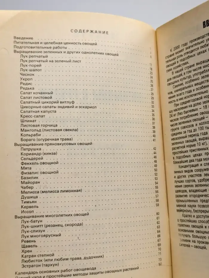 Витамины с грядки