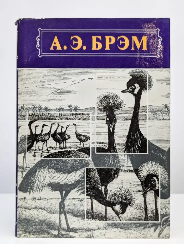А. Э. Брэм. Жизнь животных. В трех томах. Том 2. Птицы