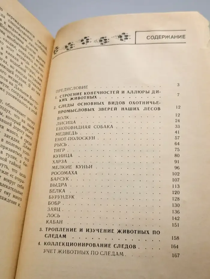 По следам лесных зверей