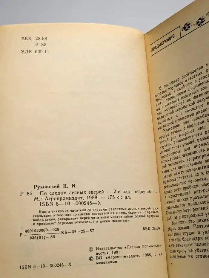 По следам лесных зверей