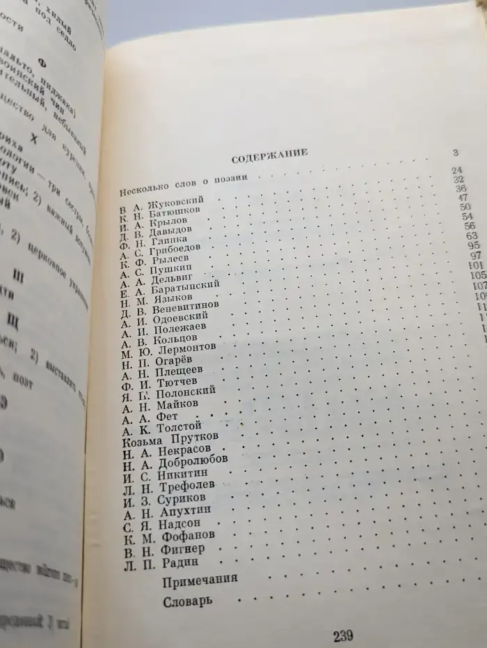 Русская поэзия XIX в.