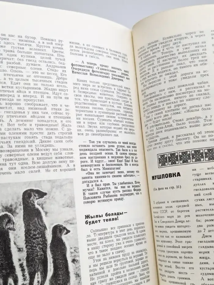 Юный натуралист. Выпуск № 10/1973