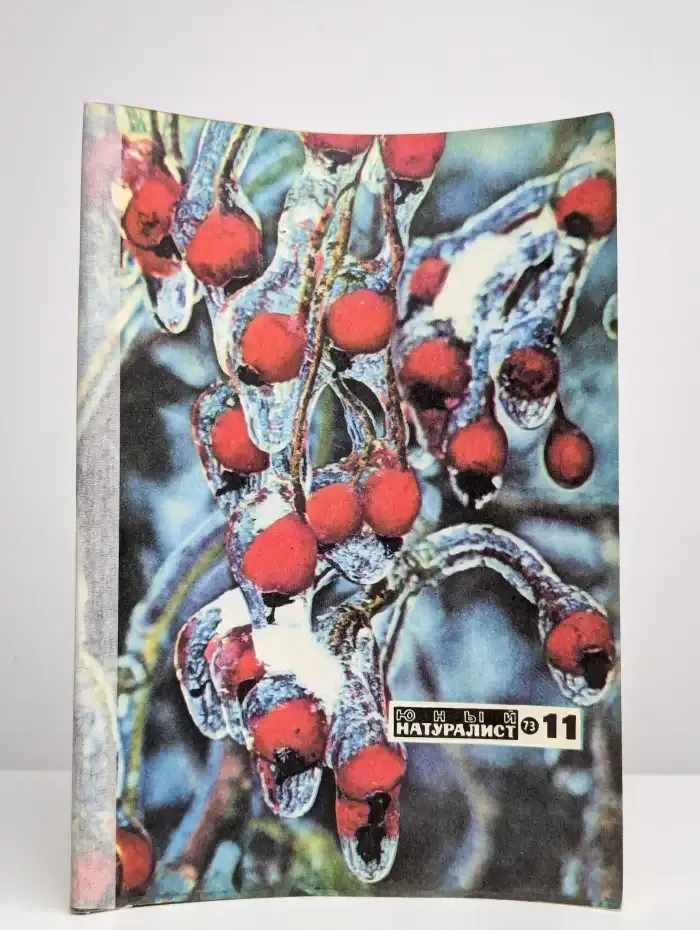 Юный натуралист. Выпуск № 11/1973
