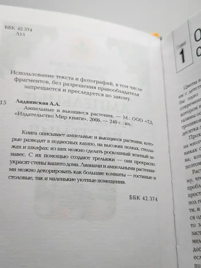 Ампельные и вьющиеся растения