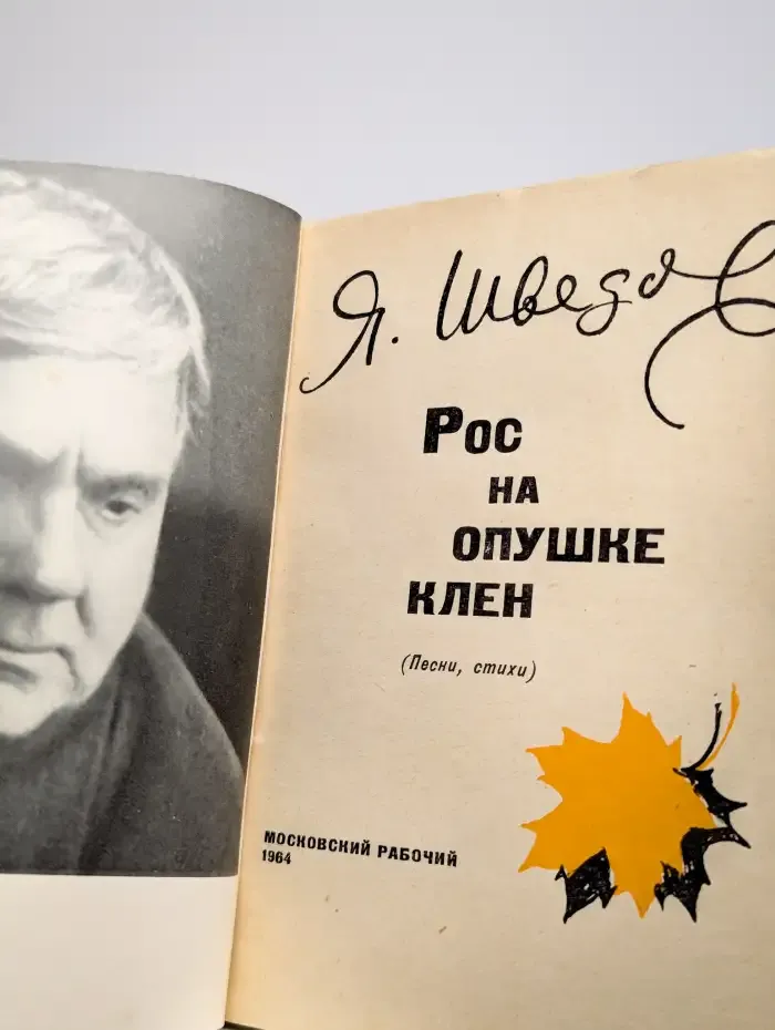 Рос на опушке клен