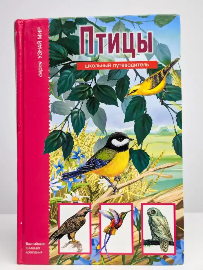 Птицы. Школьный путеводитель