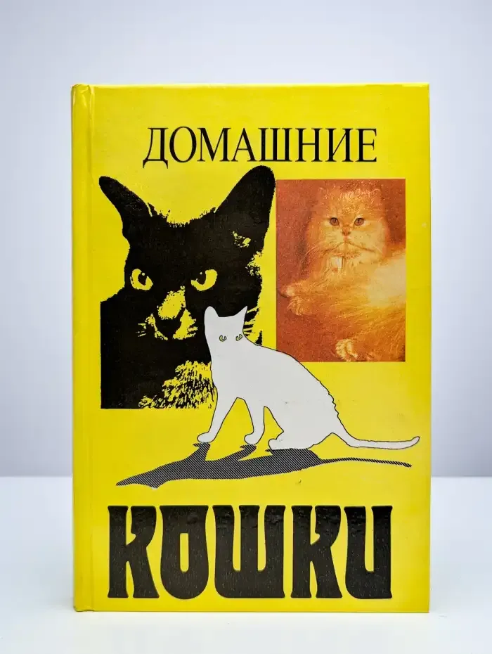 Домашние кошки