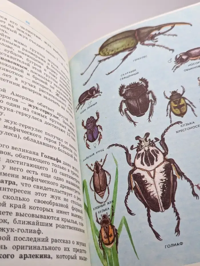 Зоопарк в твоей книжке. Том 1