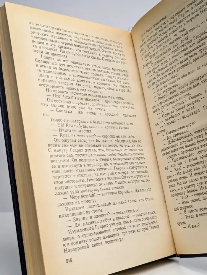 Молодость Генриха IV. В восьми томах. Том 5