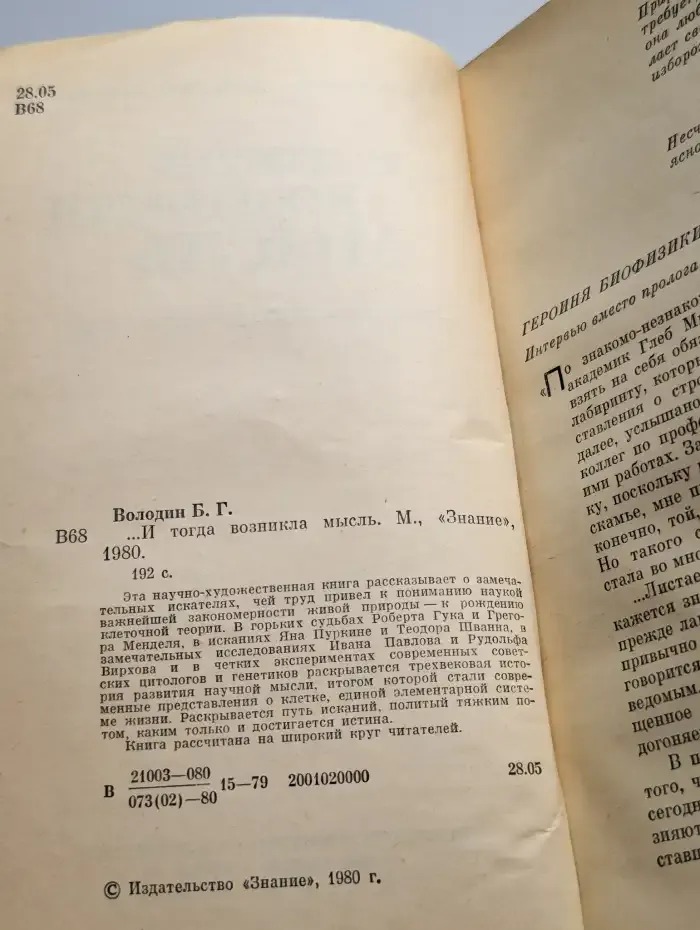 ... И тогда возникла мысль
