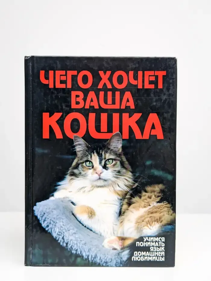 Чего хочет ваша кошка
