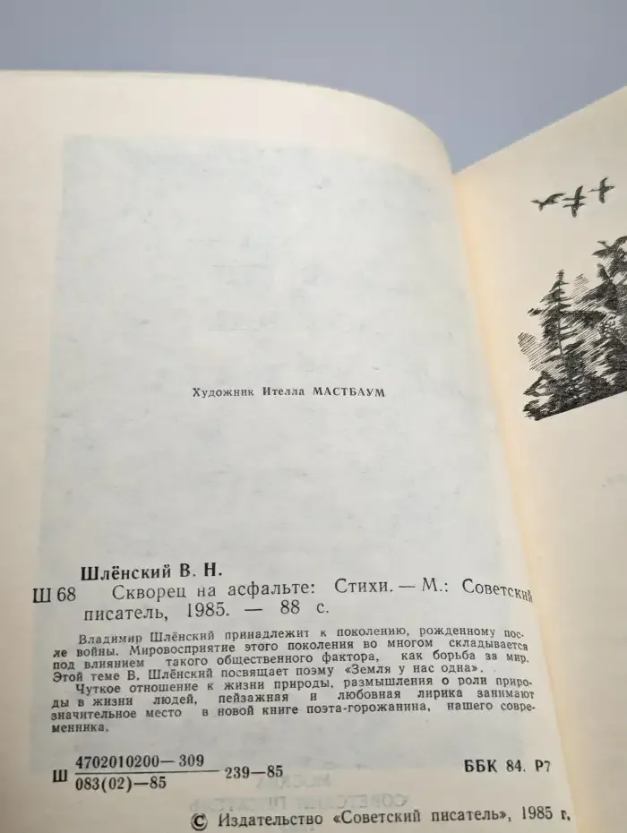 Скворец на асфальте