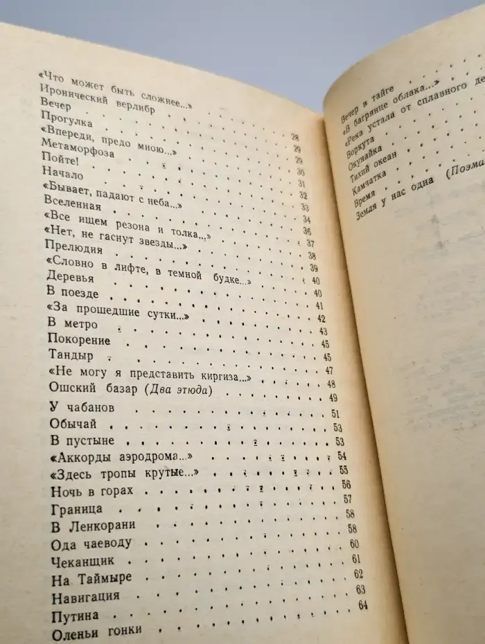 Скворец на асфальте