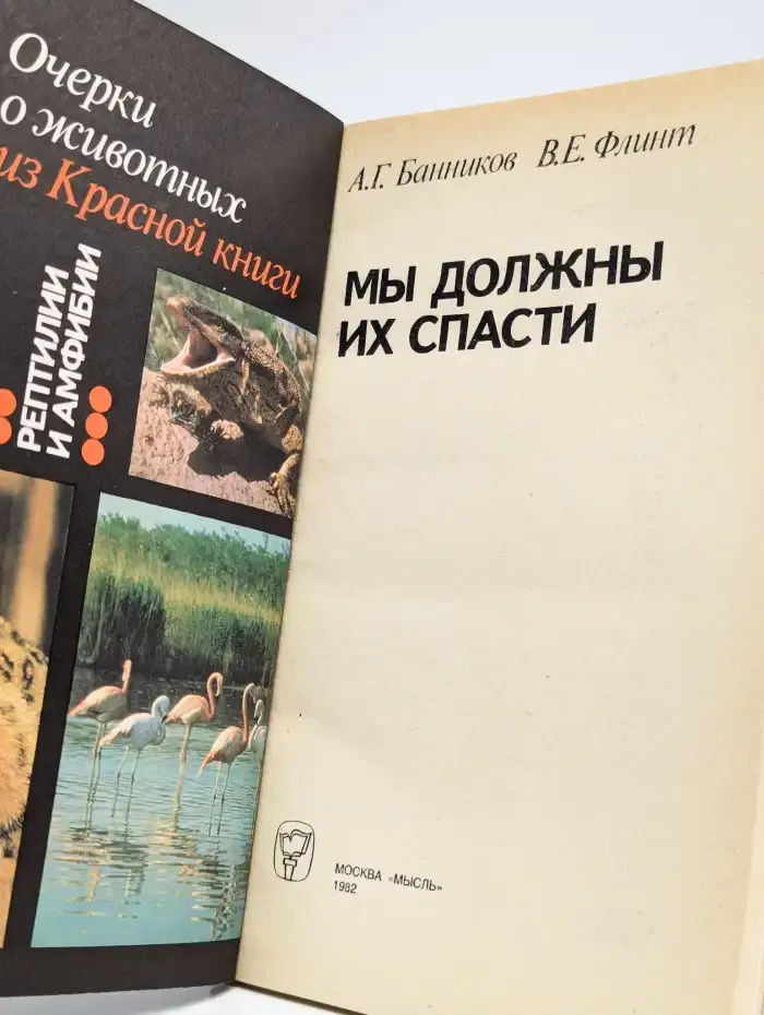 Мы должны их спасти