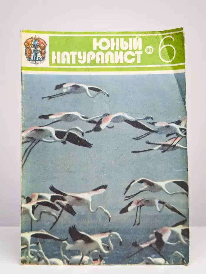 Юный натуралист. № 6/1980