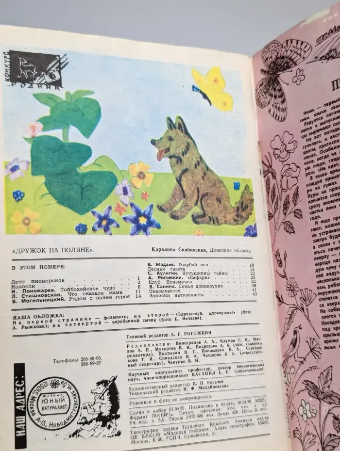 Юный натуралист. № 6/1980