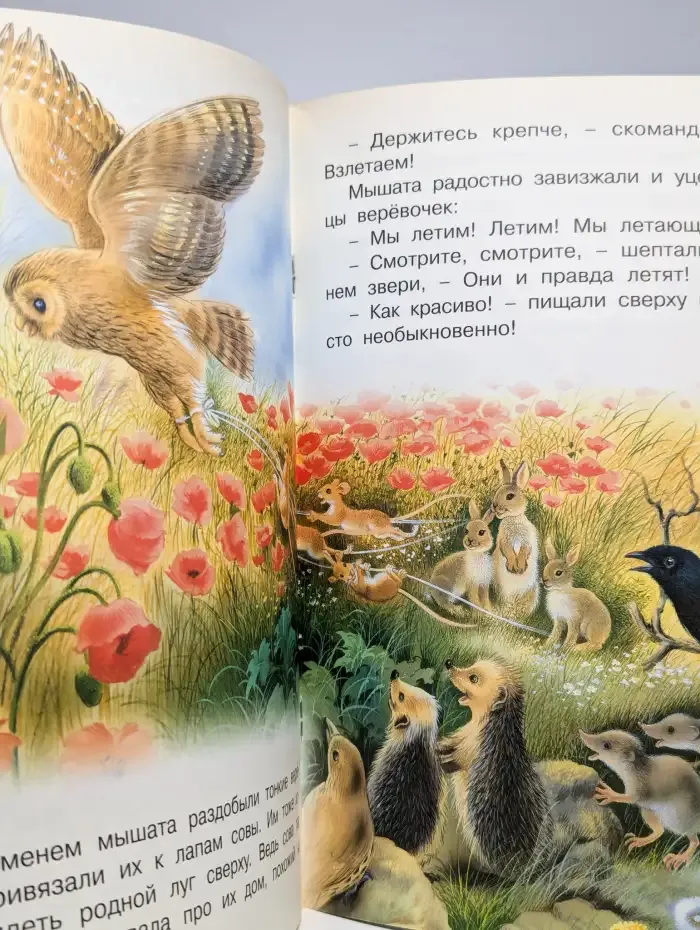 Необыкновенная Сова Маня
