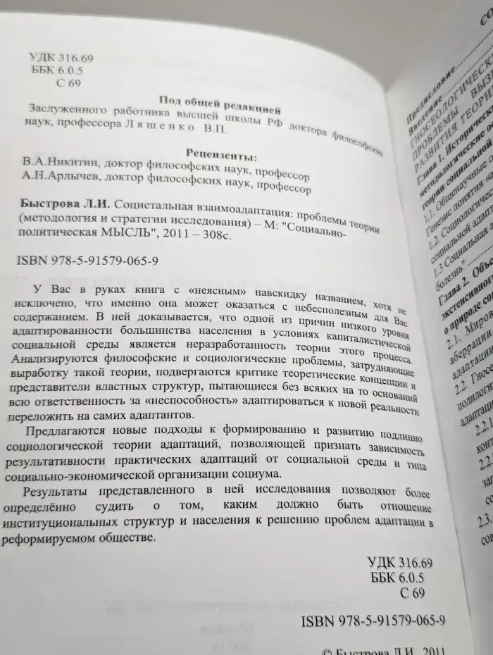 Социетальная взаимоадаптация: проблемы теории