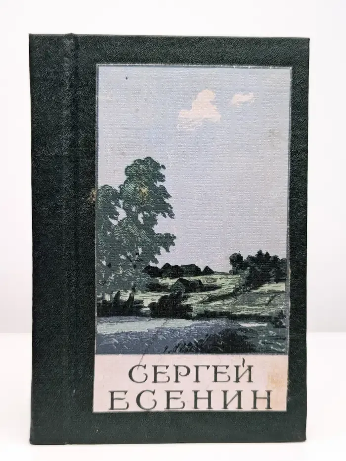 Сергей Есенин. Стихотворения. Том 1