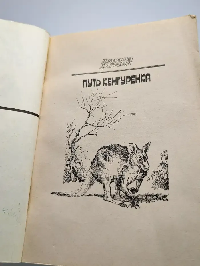Путь кенгуренка