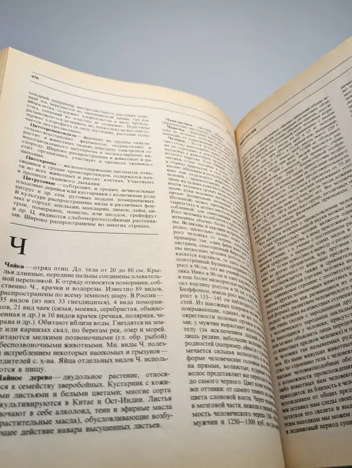 Большая школьная энциклопедия. 6-11 классы. Том 2
