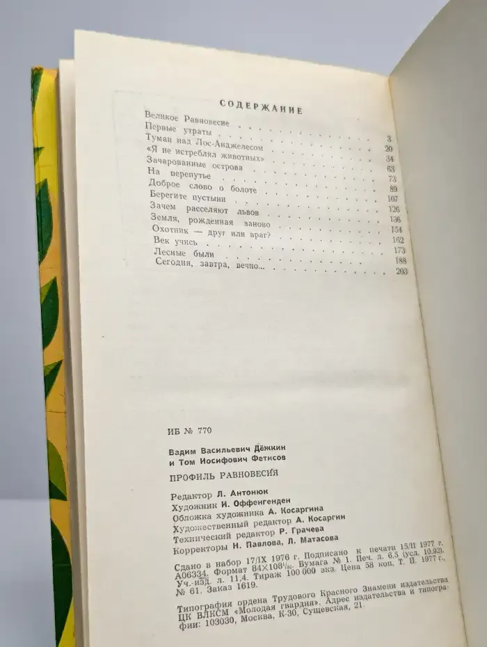 Профиль равновесия