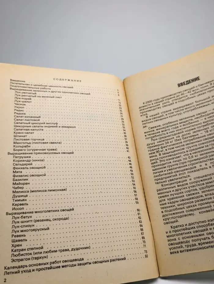 Витамины с грядки