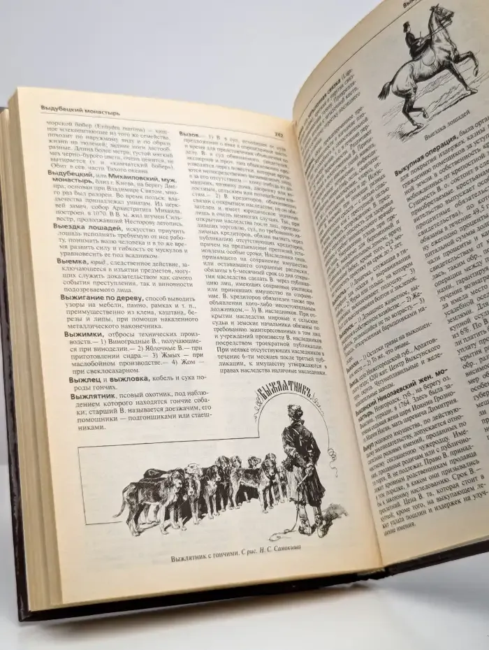 Иллюстрированный энциклопедический словарь. Том 3 В