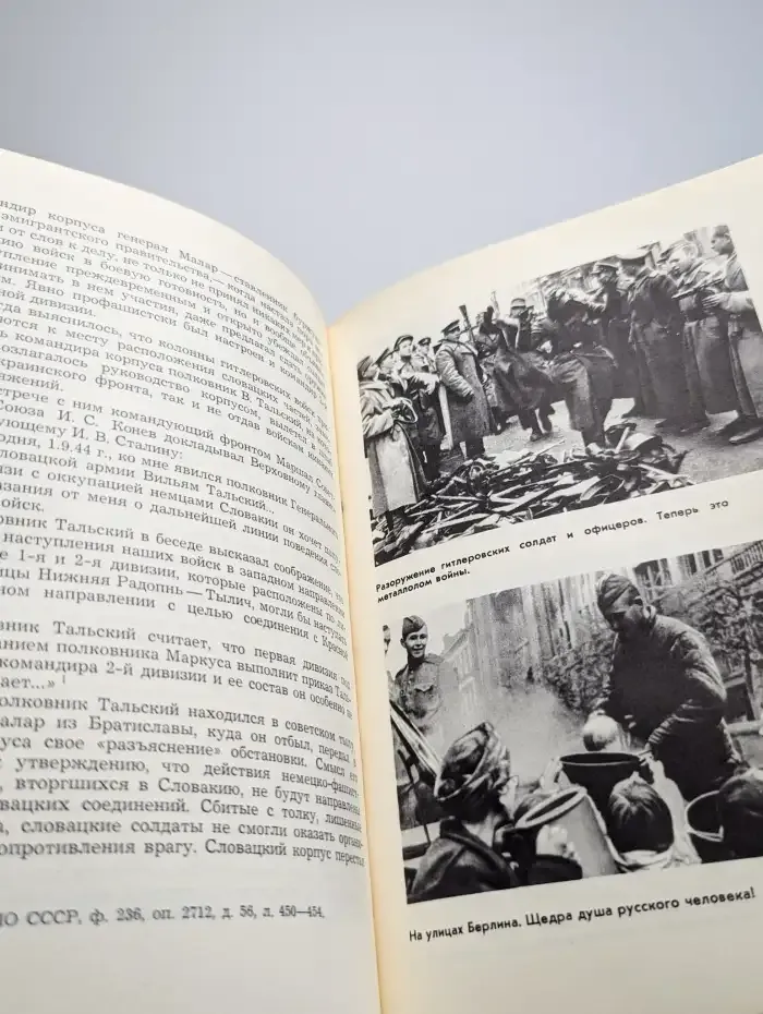 Великий освободительный поход
