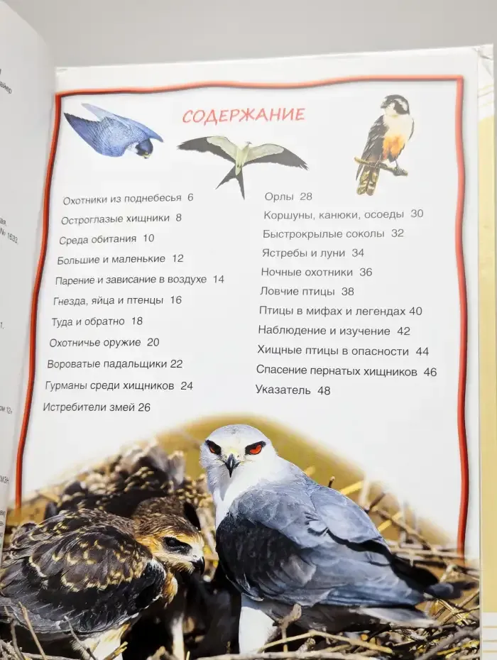 Хищные птицы. Энциклопедия для детей