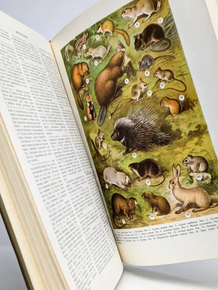 Краткая медицинская энциклопедия. Том 1