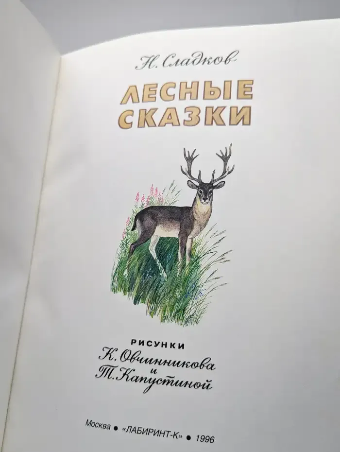 Лесные сказки