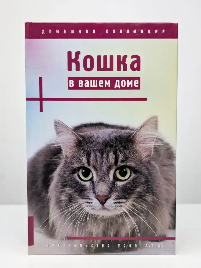 Кошка в вашем доме