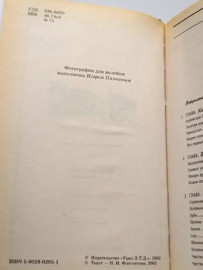 Кошка в вашем доме