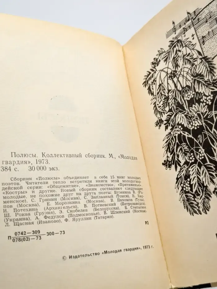 Полюсы